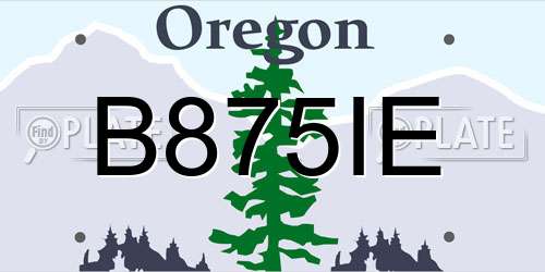 B875IE Oregon License Plate