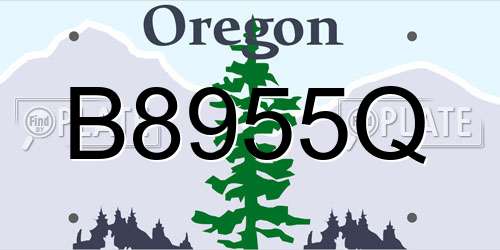 B8955Q Oregon License Plate