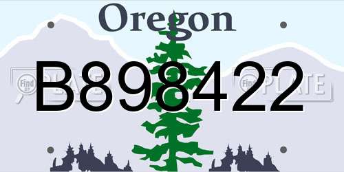 B898422 Oregon License Plate