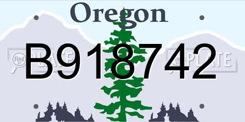 B918742 Oregon License Plate