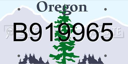 B919965 Oregon License Plate