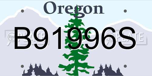 B91996S Oregon License Plate
