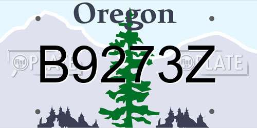B9273Z Oregon License Plate