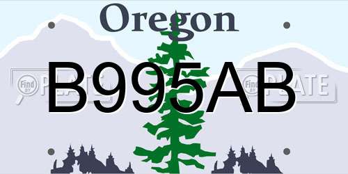 B995AB Oregon License Plate