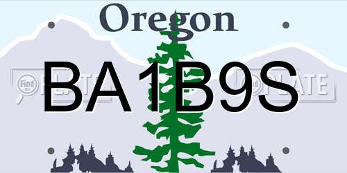 BA1B9S Oregon License Plate