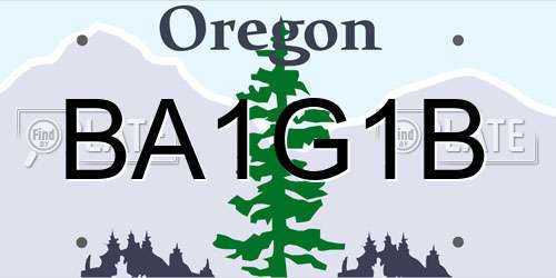 BA1G1B Oregon License Plate