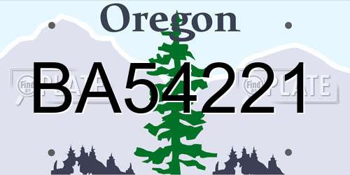 BA54221 Oregon License Plate