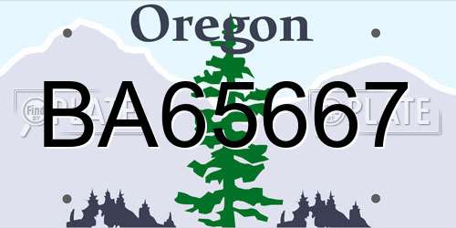 BA65667 Oregon License Plate
