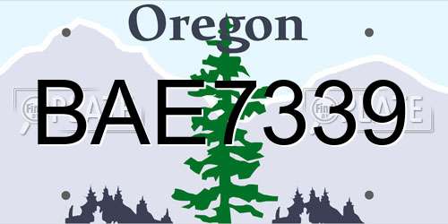 BAE7339 Oregon License Plate