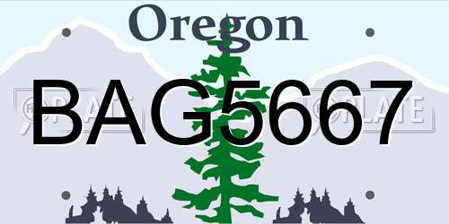 BAG5667 Oregon License Plate