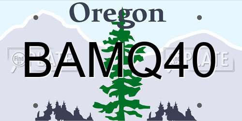 BAMQ40 Oregon License Plate