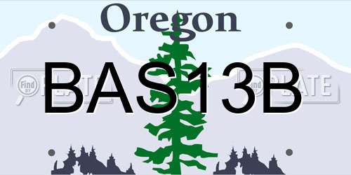BAS13B Oregon License Plate