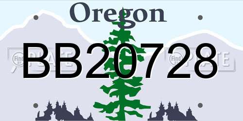 BB20728 Oregon License Plate
