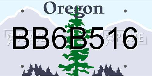 BB6B516 Oregon License Plate