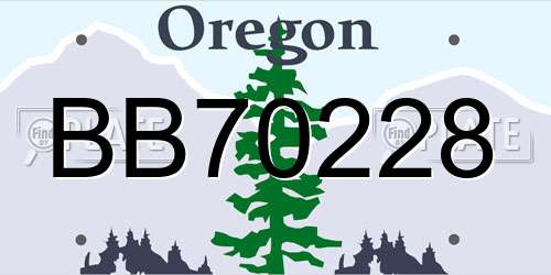 BB70228 Oregon License Plate