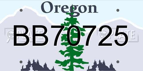 BB70725 Oregon License Plate
