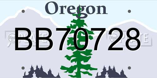 BB70728 Oregon License Plate