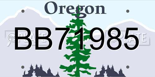 BB71985 Oregon License Plate