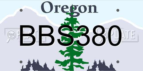 BBS380 Oregon License Plate