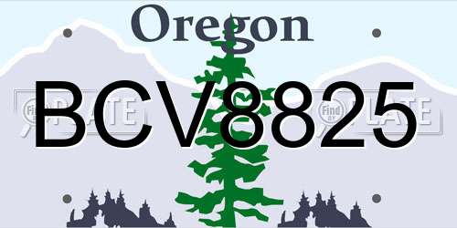 BCV8825 Oregon License Plate
