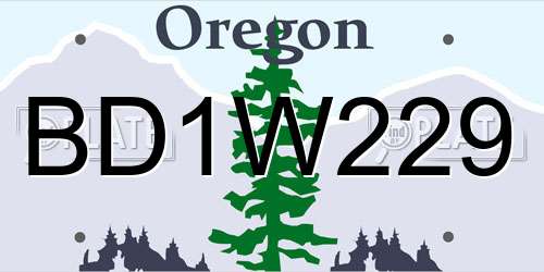 BD1W229 Oregon License Plate
