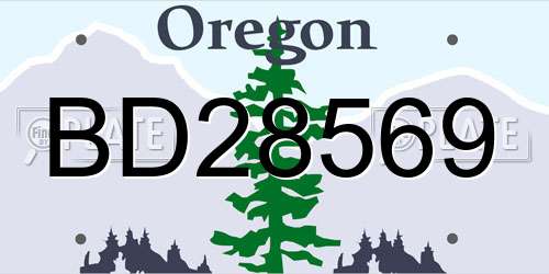 BD28569 Oregon License Plate