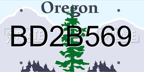 BD2B569 Oregon License Plate