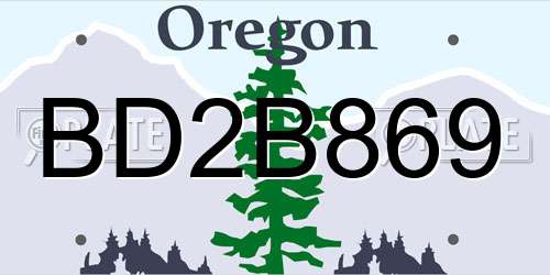 BD2B869 Oregon License Plate