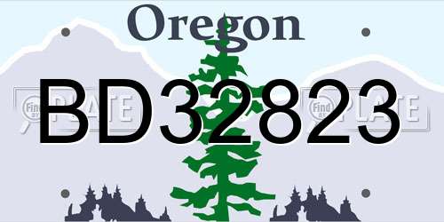 BD32823 Oregon License Plate