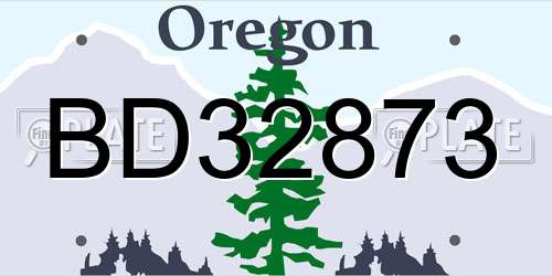 BD32873 Oregon License Plate