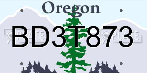 BD3T873 Oregon License Plate