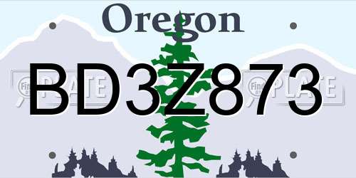 BD3Z873 Oregon License Plate