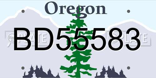 BD55583 Oregon License Plate