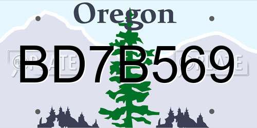 BD7B569 Oregon License Plate