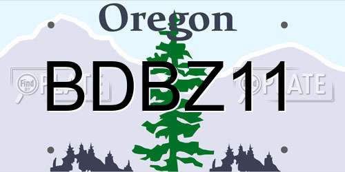 BDBZ11 Oregon License Plate