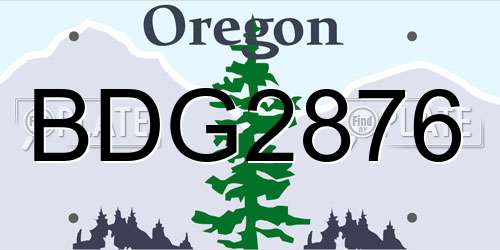 BDG2876 Oregon License Plate