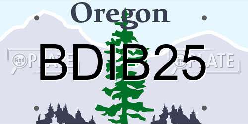 BDIB25 Oregon License Plate
