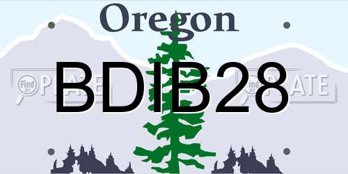 BDIB28 Oregon License Plate