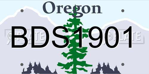 BDS1901 Oregon License Plate