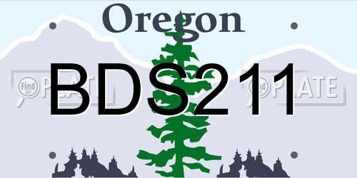 BDS211 Oregon License Plate