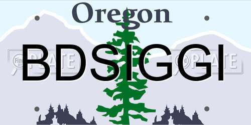 BDSIGGI Oregon License Plate