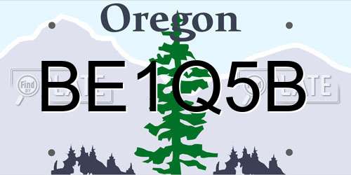 BE1Q5B Oregon License Plate