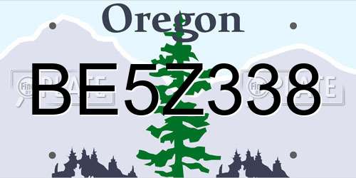 BE5Z338 Oregon License Plate
