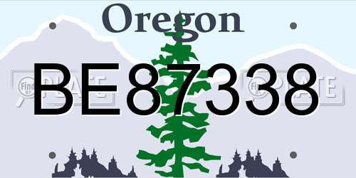 BE87338 Oregon License Plate