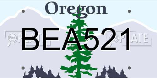 BEA521 Oregon License Plate