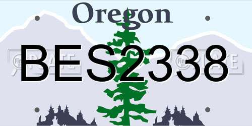 BES2338 Oregon License Plate