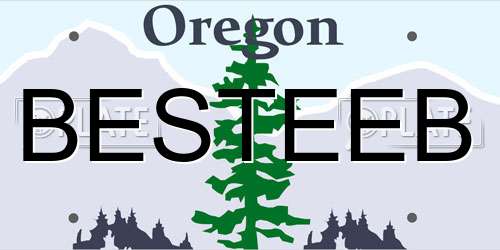 BESTEEB Oregon License Plate