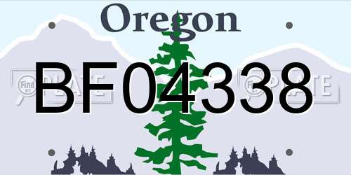 BF04338 Oregon License Plate