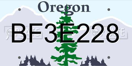 BF3E228 Oregon License Plate