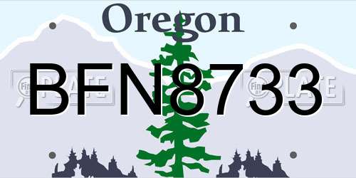 BFN8733 Oregon License Plate